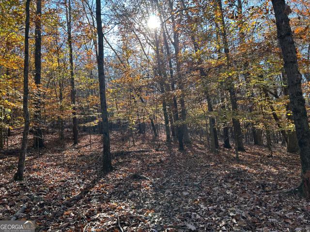 Land for sale in Royston, Georgia