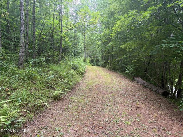 Land for sale in Murphy, Cherokee County