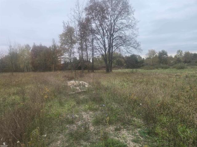 Land for sale in Capac, Saint Clair County