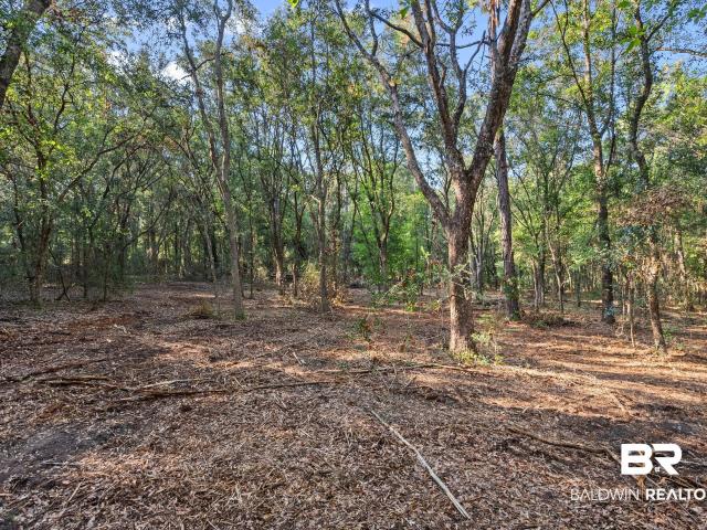 Land for sale in Summerdale, Alabama