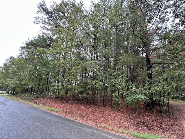 Land for sale in Benton, Louisiana