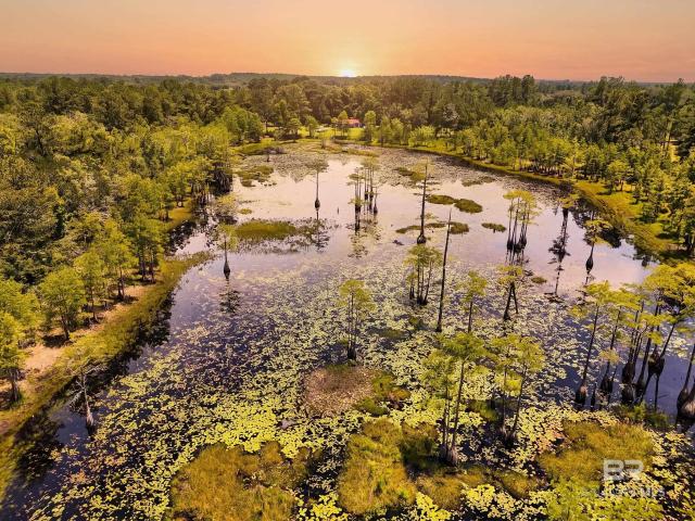 Land for sale in Geneva, Alabama