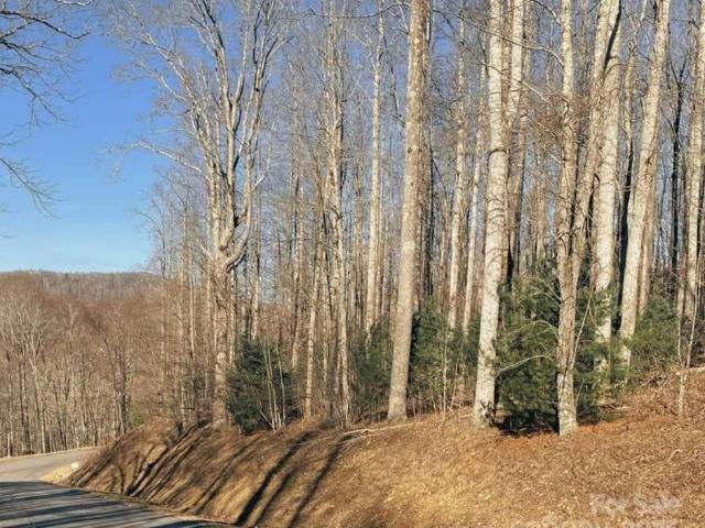 Land for sale in Spruce Pine, North Carolina