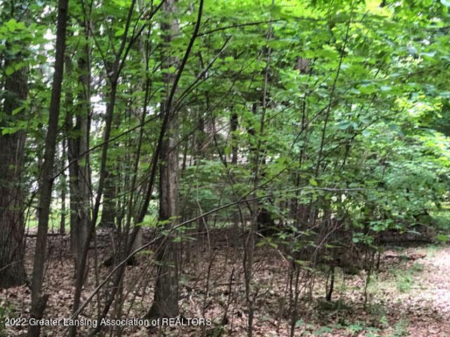 Land for sale in Dewitt, Michigan