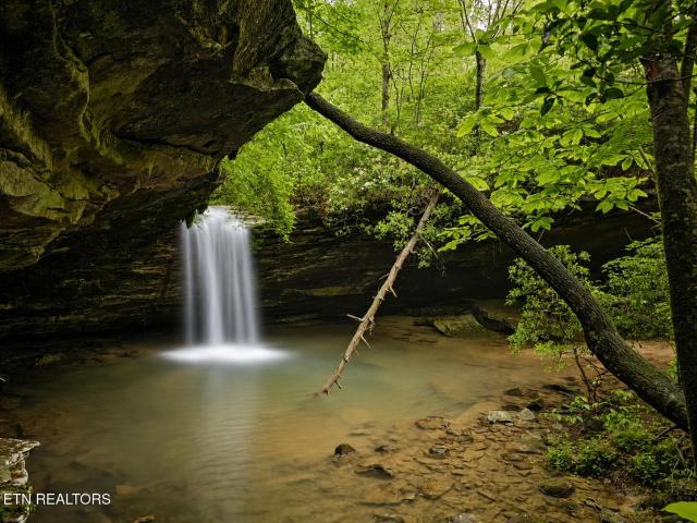 Farm for sale in Tennessee