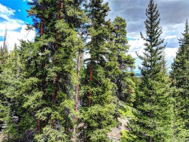 Land for sale in Fairplay, Colorado