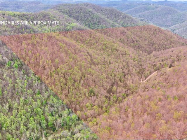 Land for sale in Spruce Pine, Leslie County