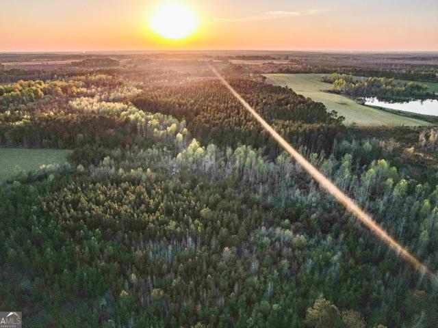 Land for sale in Baxley, Georgia