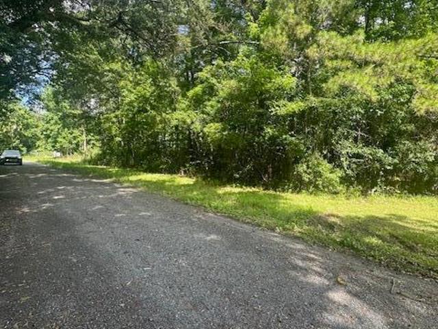 Land for sale in Ridgeville, South Carolina