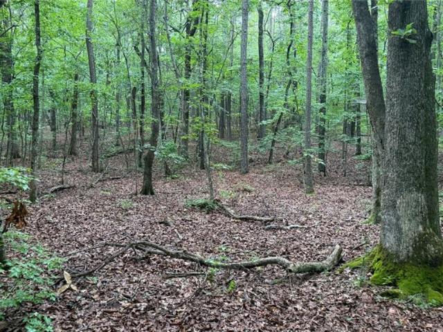 Land for sale in Kingston, Bartow County