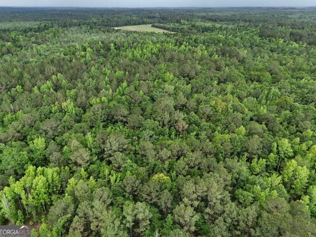 Land for sale in Screven, Georgia