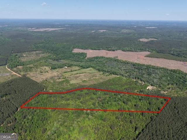 Land for sale in Carlton, Georgia