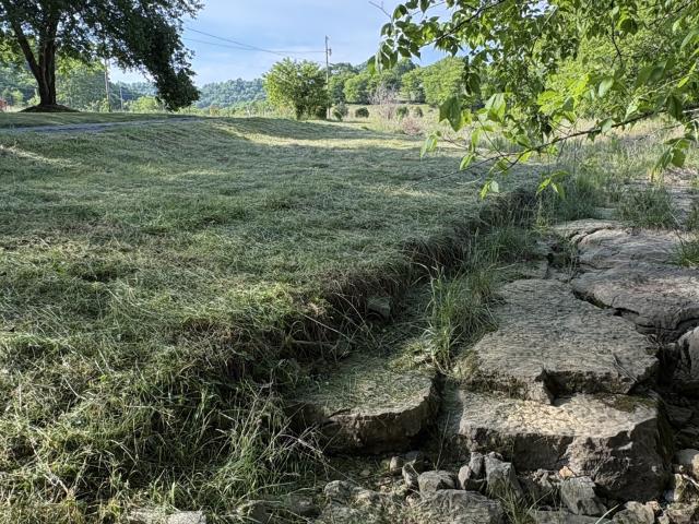 Land for sale in Tennessee