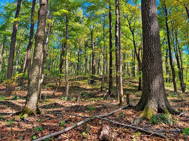 Land for sale in Leetown, Morgantown