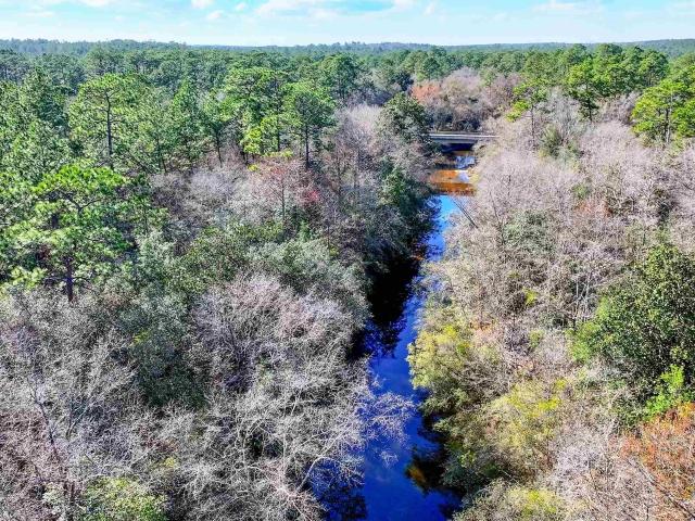 Land for sale in Alabama