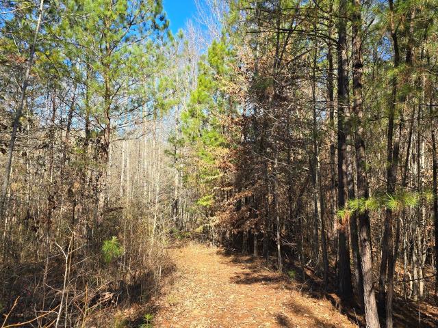 Land for sale in Jackson, Georgia