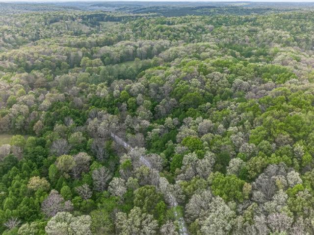 Land for sale in Tennessee