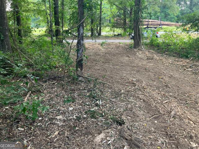 Land for sale in Warm Springs, Georgia