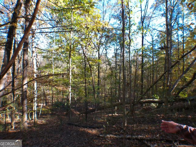 Land for sale in Elbert, Georgia