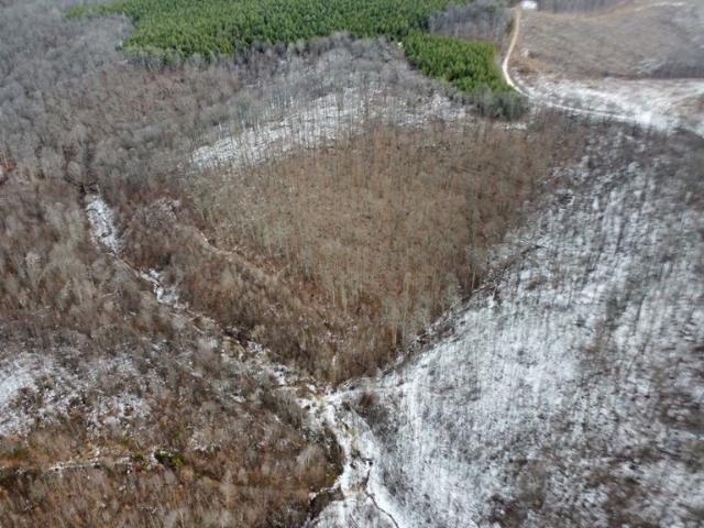 Land for sale in Beaver, Pike County