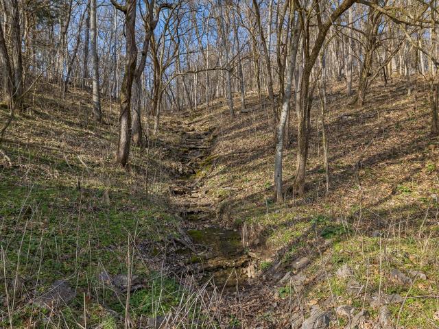 Land for sale in Tennessee