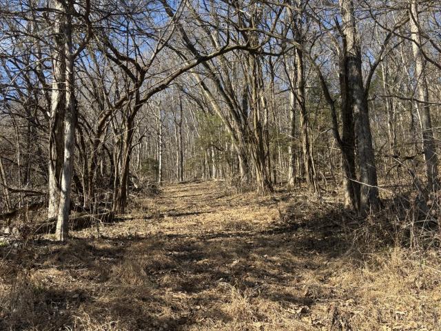 Land for sale in Gordonsville, Middle Tennessee