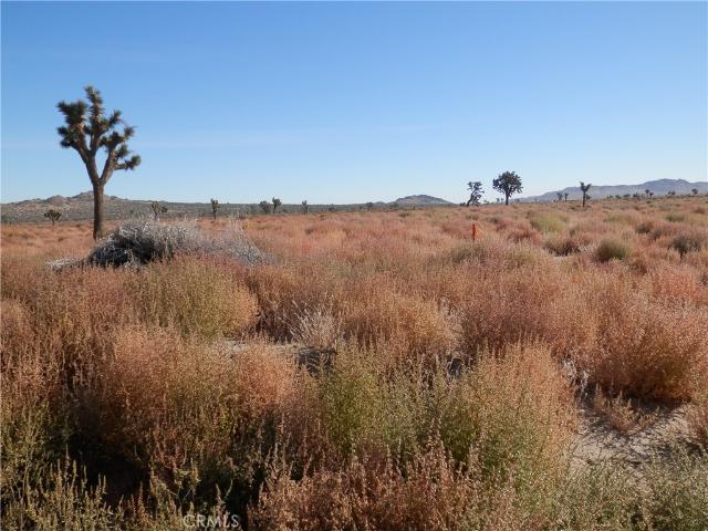Land for sale in Palmdale, California