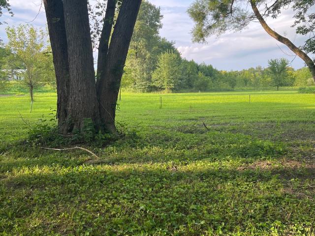 Land for sale in Arcadia, Indiana