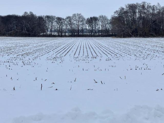 Land for sale in Whiteside, Illinois