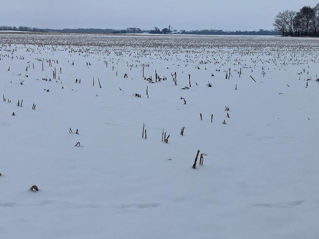 Farm for sale in Whiteside, Illinois