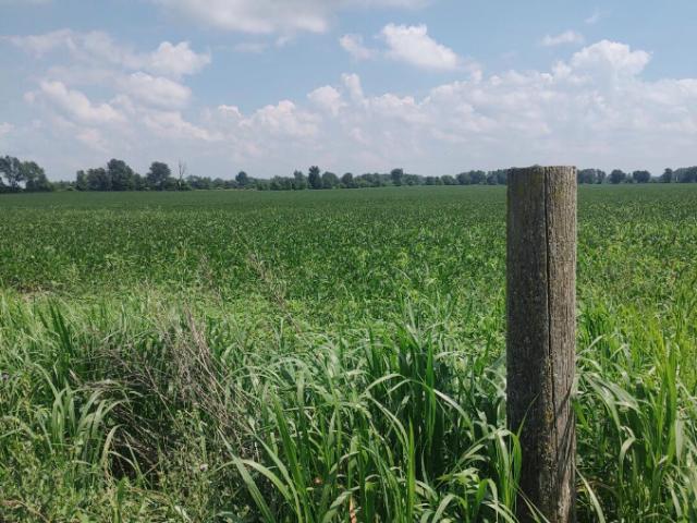 Land for sale in Crawfordsville, Indiana