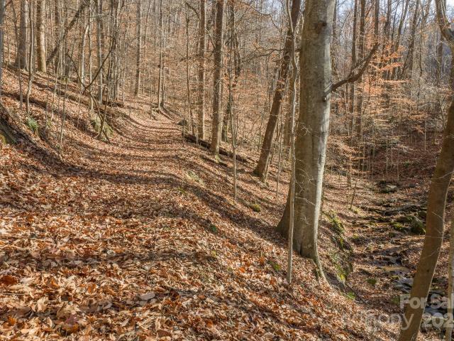 Land for sale in North Carolina