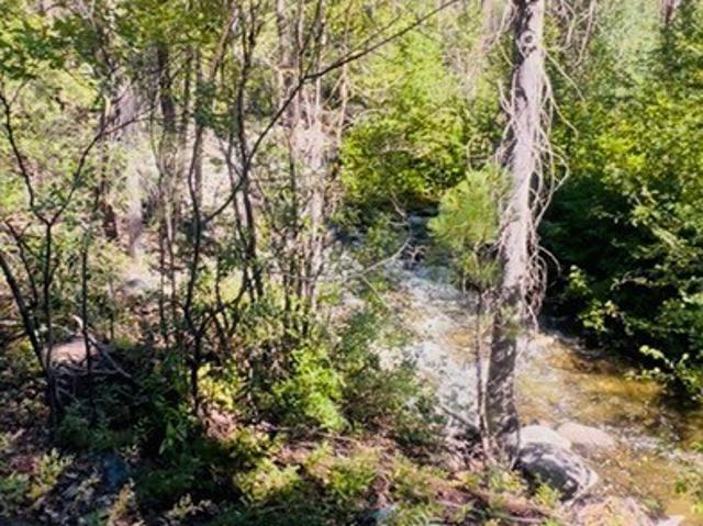 Land for sale in Twisp, Washington