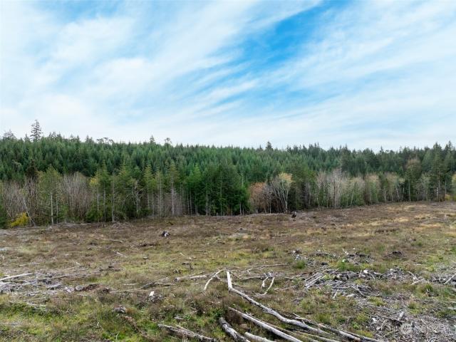 Land for sale in Shelton, Washington