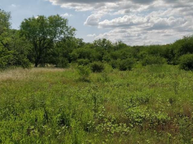 Land for sale in Medina, Texas