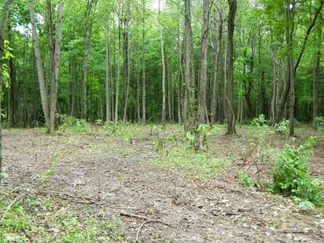 Land for sale in Seymour, Indiana