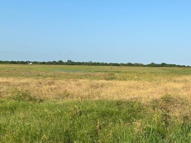 Land for sale in Riviera, Texas