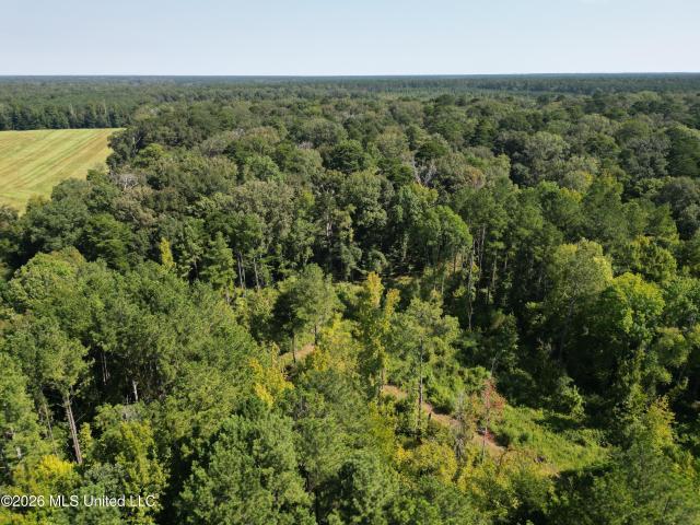 Land for sale in Morton, Mississippi