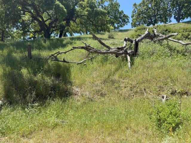 Land for sale in Morgan Hill