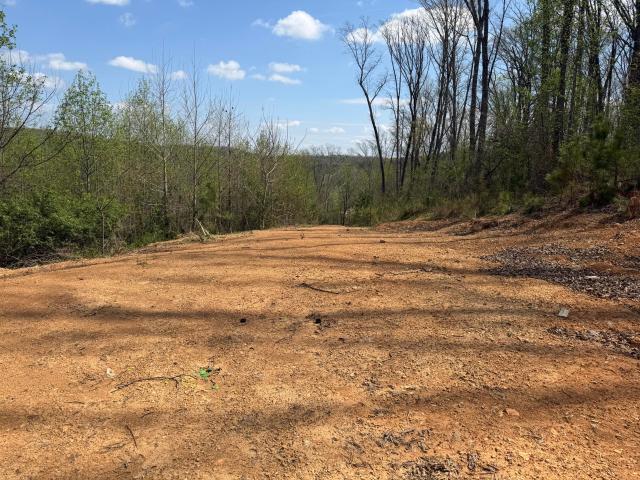Land for sale in Cohutta, Georgia