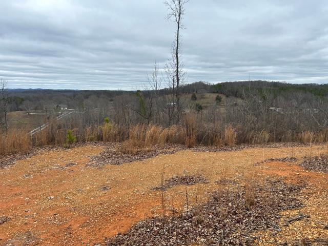 Land for sale in Cohutta, Georgia