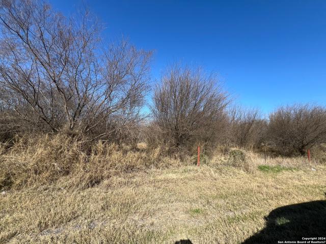 Land for sale in Campbellton, Texas