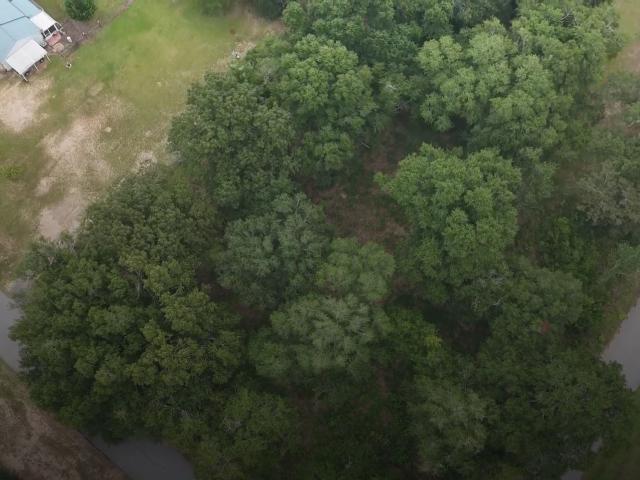Land for sale in Hawkinsville, Georgia