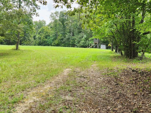 Land for sale in Centerville, Middle Tennessee