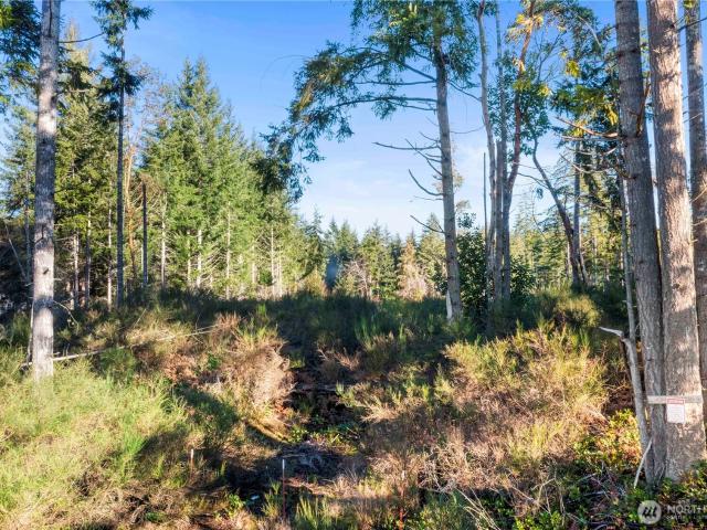 Land for sale in Shelton, Washington