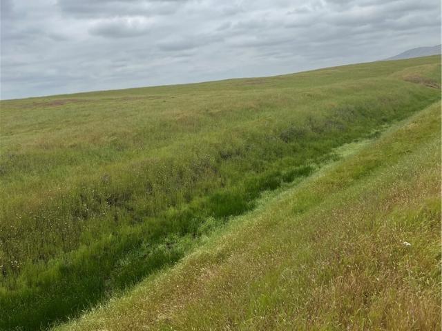 Land for sale in Clovis