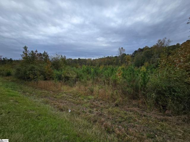 Land for sale in Mc Cormick, South Carolina