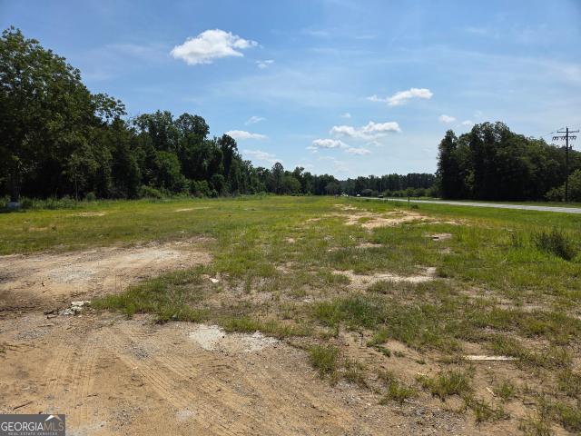 Land for sale in Swainsboro, Georgia