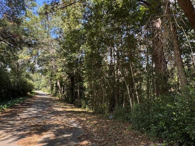 Land for sale in Daleville, Dale County