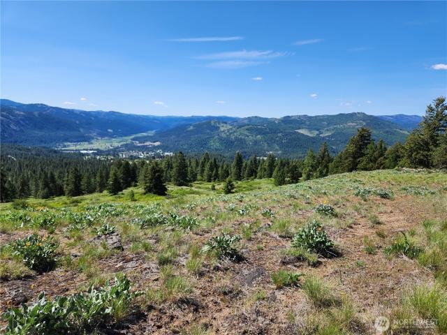 Land for sale in Republic, Washington